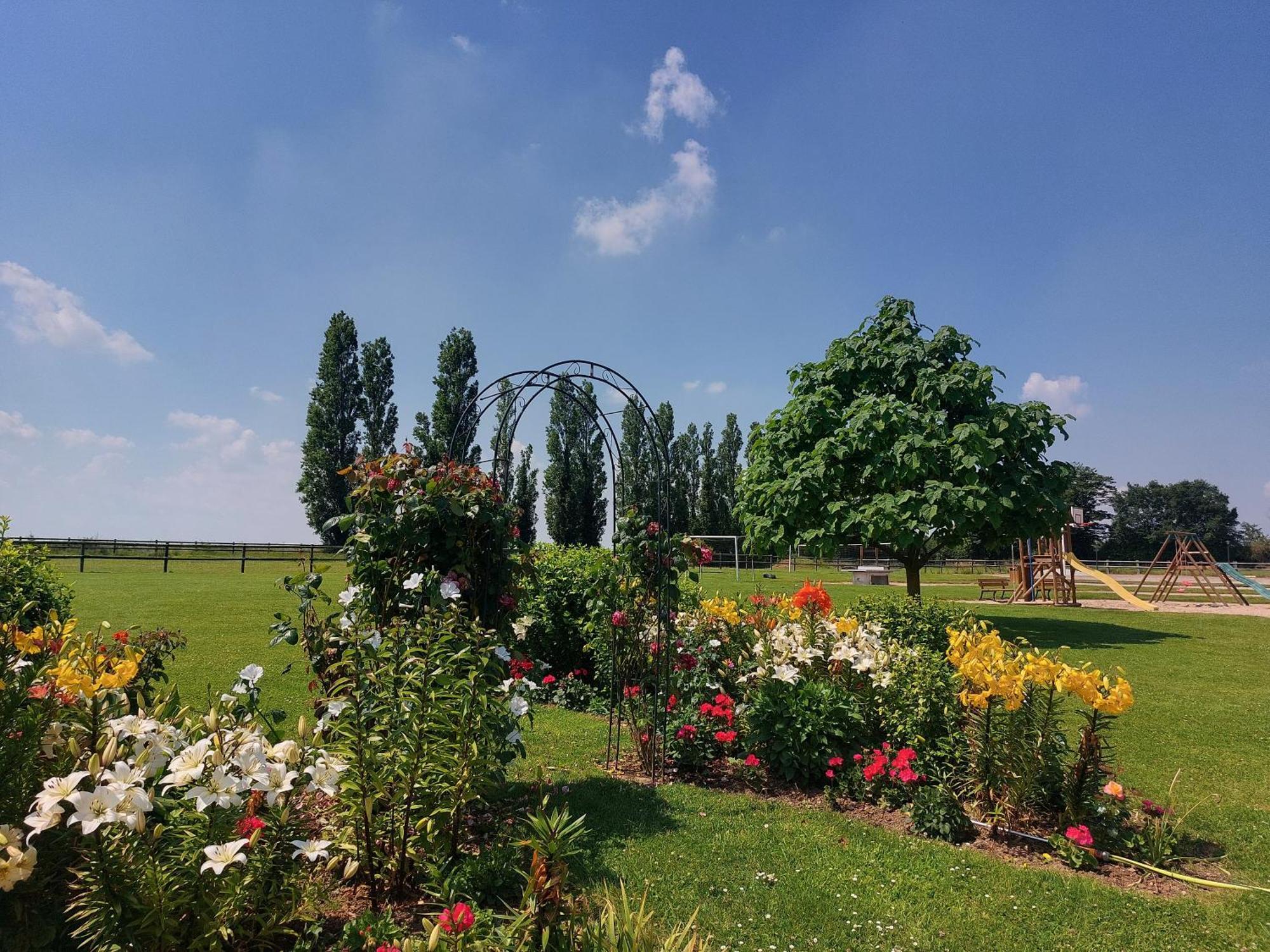 Domaine De Soignolles Hotel Exterior photo